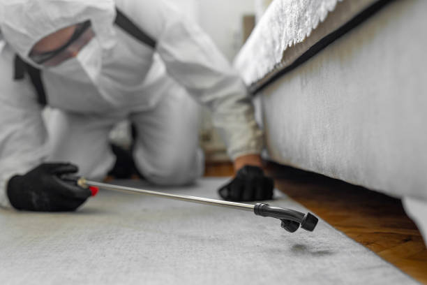 Professional Termite Control technician working in Okeechobee, FL