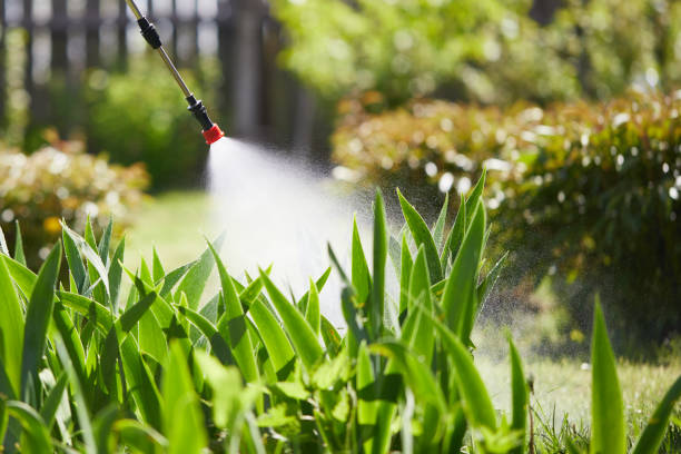 24/7 Emergency Termite Control experts in Okeechobee, FL